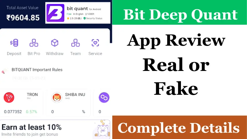 Bit Deep Quant App Real or Fake