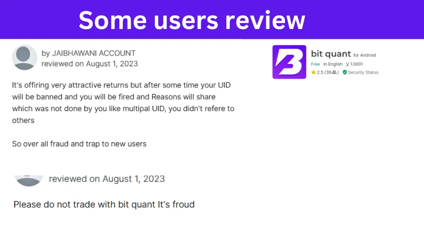 Bit Deep Quant App Review
