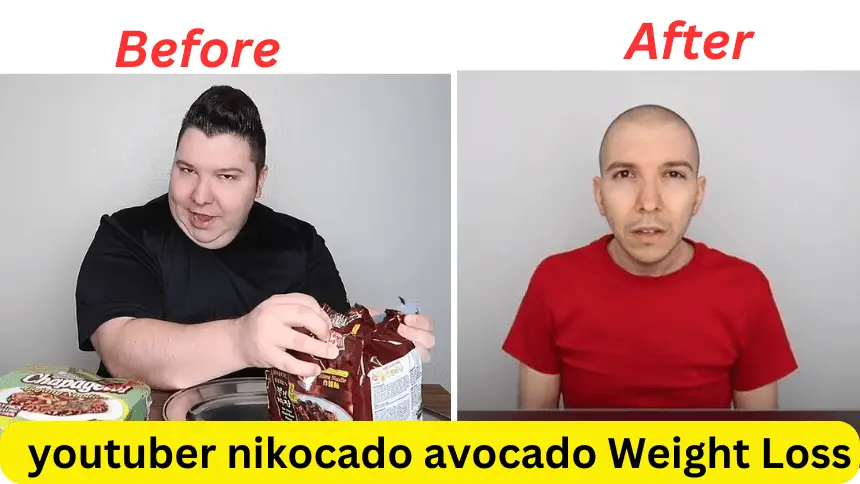 youtuber nikocado avocado Weight Loss